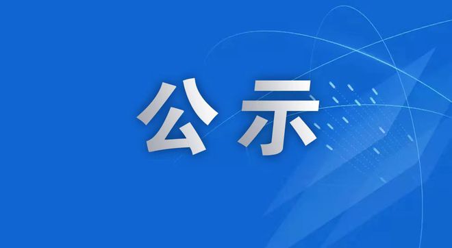 武穴市城市投資發展集團有限公司武穴港田鎮港區馬口作業區液體化工碼頭項目環境影響報告書征求意見稿公示